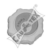 CAUTEX 954230 Plug, coolant flange